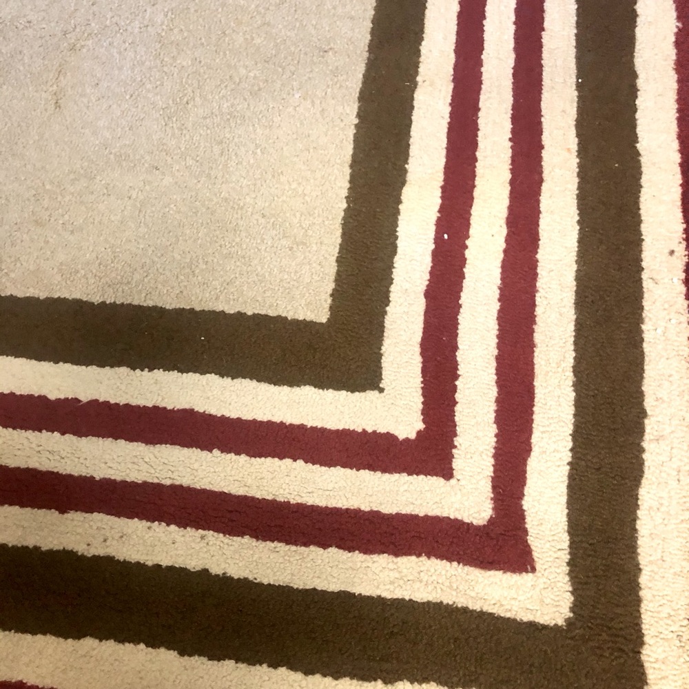 Pottery Barn Kids 8x10 rug